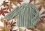 Roy Sweater Pattern
